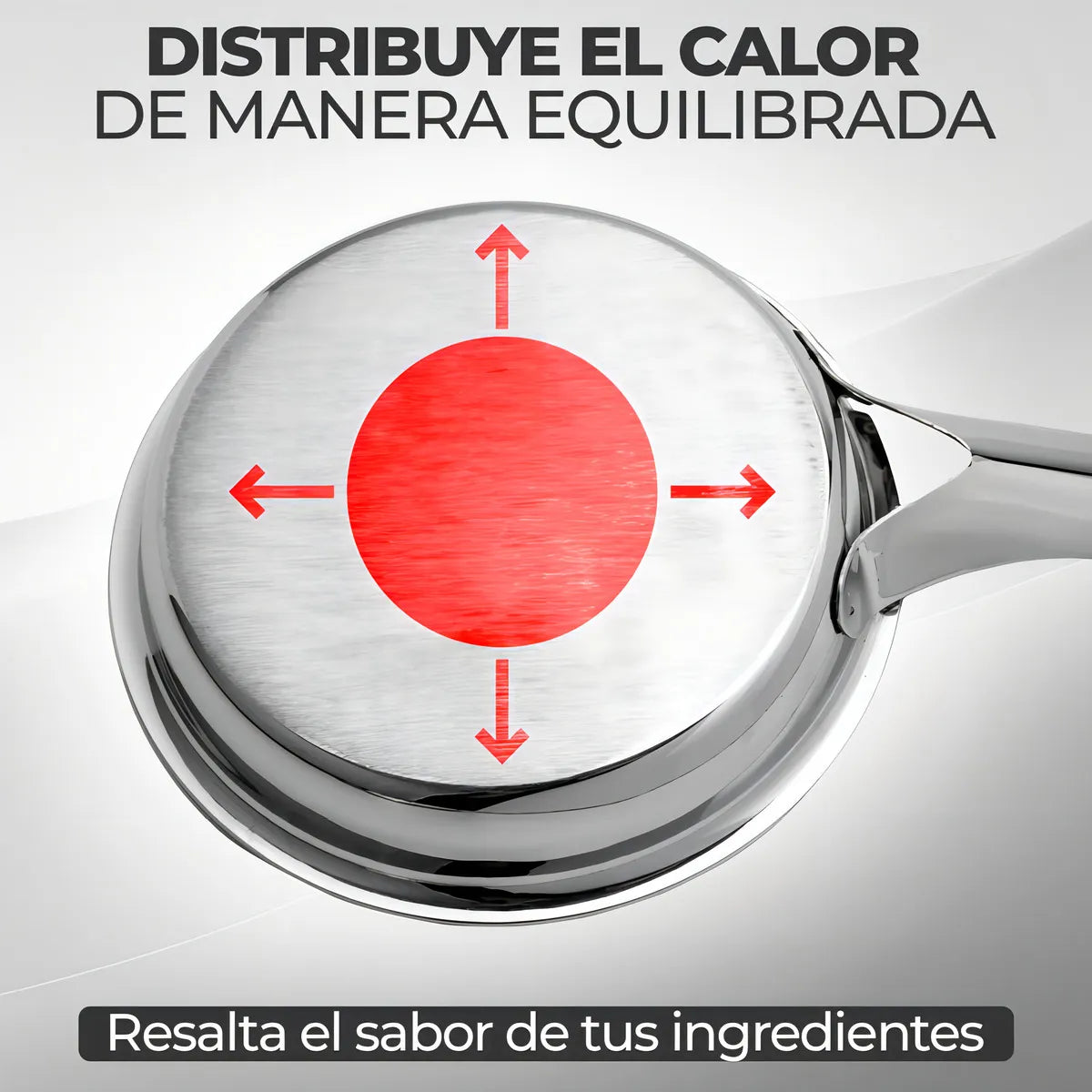 Sarten en Acero Gourmet